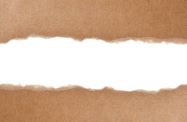 Sustainable Paper